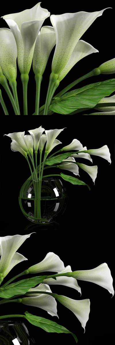 水生植物花瓶